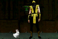 Animality Animality