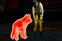 Animality Animality