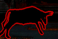 Animality Animality